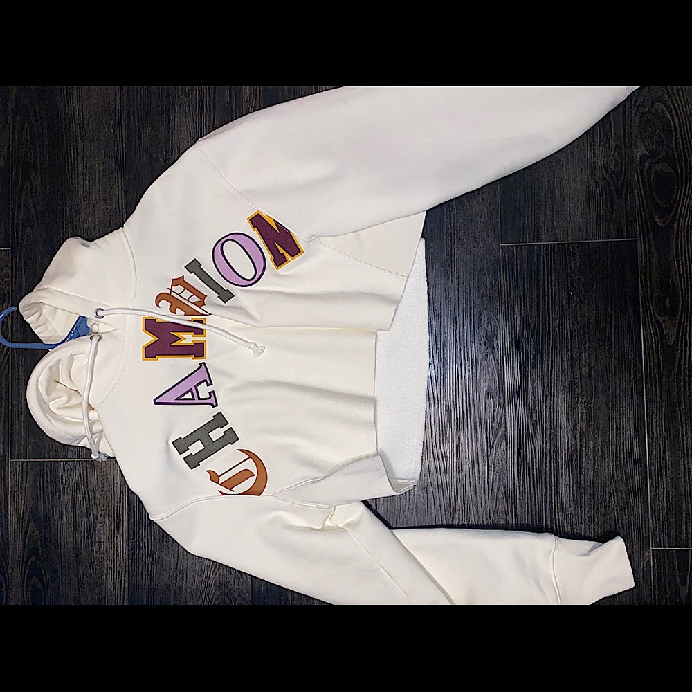 cropped champion multi colored hoodie